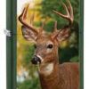 Zippo Z28471 Classic, Buck Deer Image, Green Matte -Cheap Gear Store knifework 28471 18338.1566586772